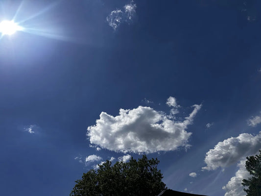 The sun shining brightly in a deep blue sky with scattered white clouds and the silhouette of a tree reaching upward on the summer solstice.